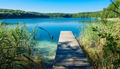 Copyright: Max Mustermann Max Mustermann